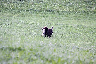 2008_09_26_0127.jpg