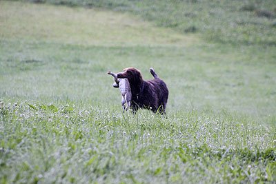 2008_09_26_0128.jpg