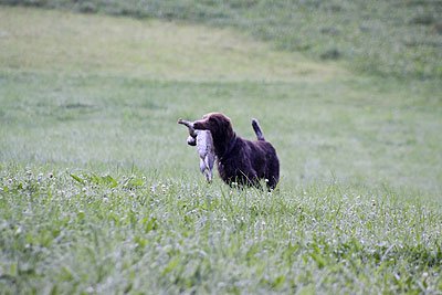 2008_09_26_0129.jpg