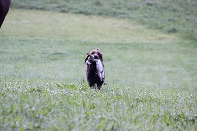 2008_09_26_0131.jpg