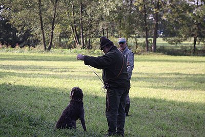 2008_09_26_0139.jpg