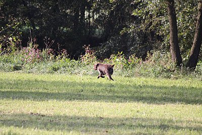 2008_09_26_0141.jpg