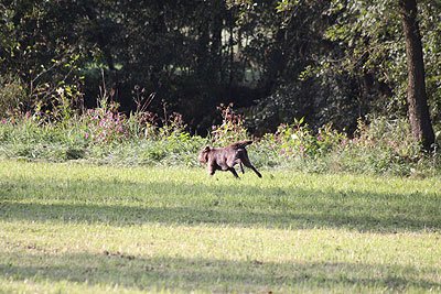 2008_09_26_0142.jpg