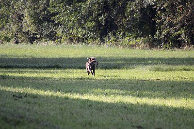 2008_09_26_0145.jpg