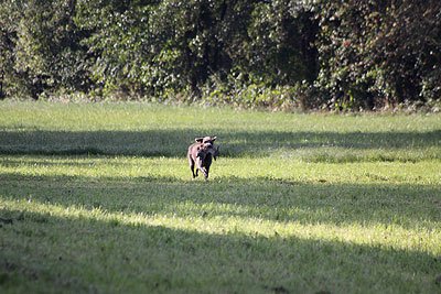 2008_09_26_0147.jpg