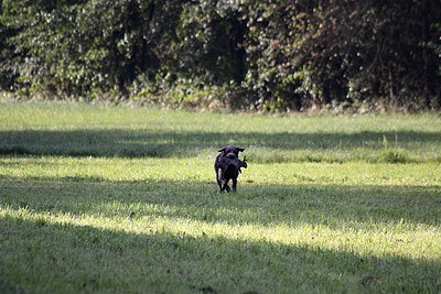 2008_09_26_0149.jpg