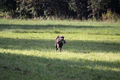 2008_09_26_0151.jpg
