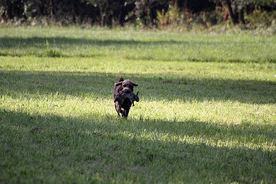 2008_09_26_0156.jpg