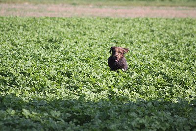 2008_09_26_0174.jpg