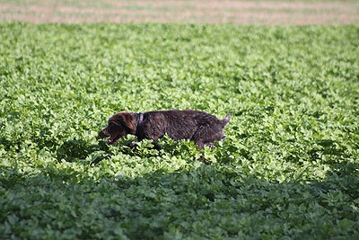 2008_09_26_0177.jpg