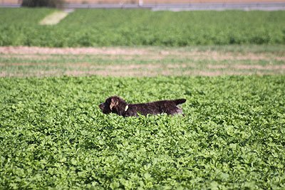 2008_09_26_0182.jpg