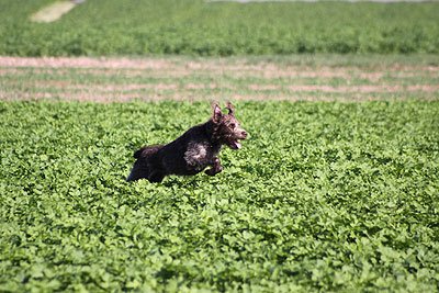 2008_09_26_0183.jpg