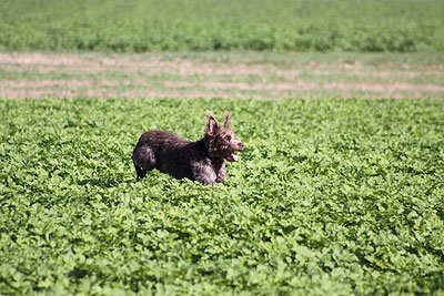 2008_09_26_0184.jpg