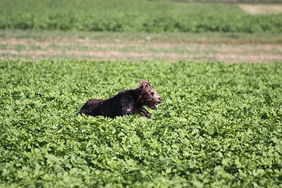 2008_09_26_0186.jpg
