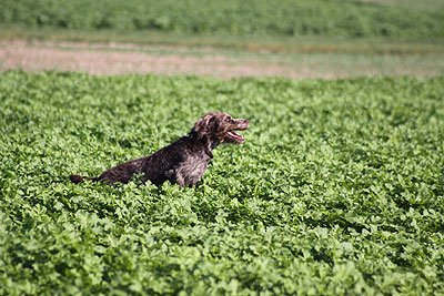 2008_09_26_0189.jpg