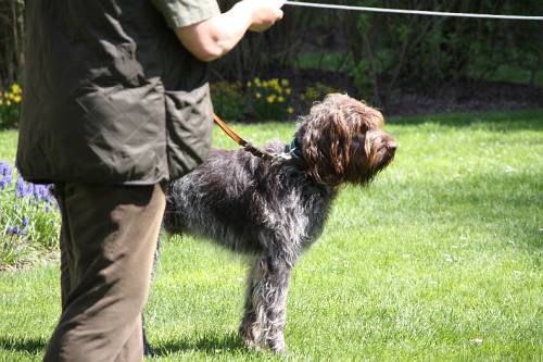 2010_04_24_188.JPG