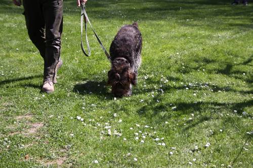 2010_04_24_215.JPG