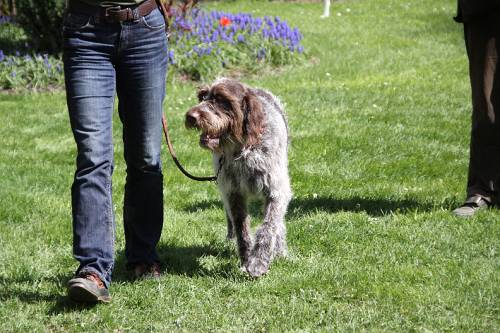 2010_04_24_238.JPG