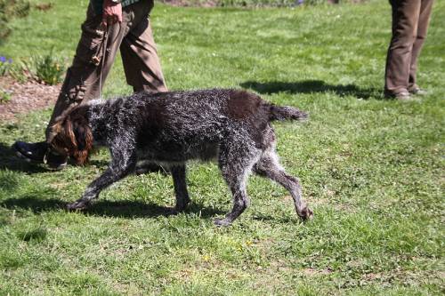 2010_04_24_257.JPG