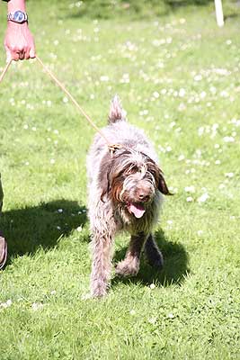 20090425-391.jpg
