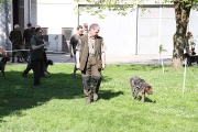 20090425-406.jpg