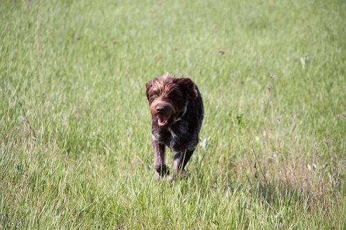 20090410-042.jpg