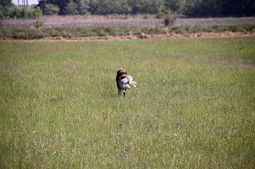 20090410-086.jpg