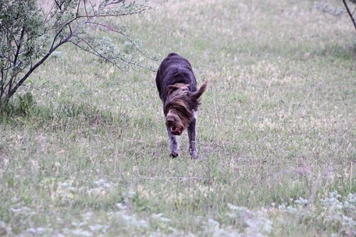 20090410-232.jpg
