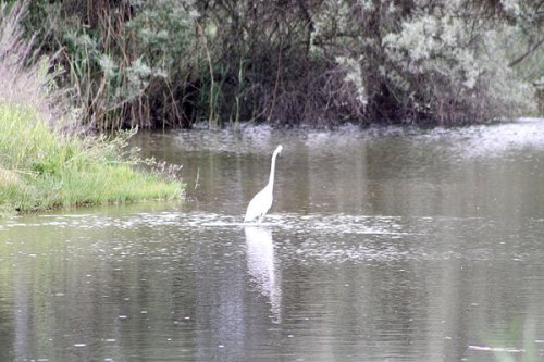 20090410-448.jpg