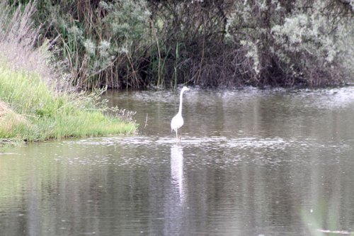 20090410-449.jpg