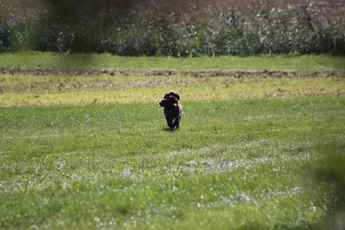 2010_09_11_031.JPG