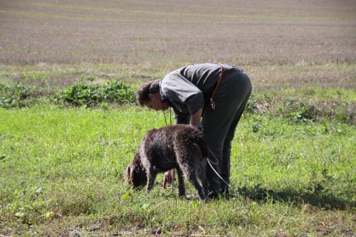 2010_09_11_044.JPG
