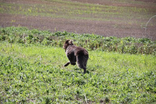 2010_09_11_045.JPG