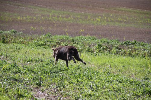 2010_09_11_048.JPG