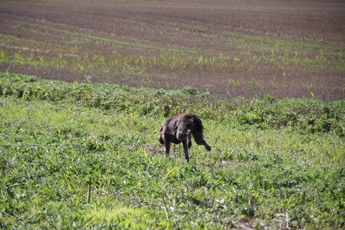 2010_09_11_050.JPG