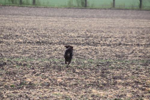 2010_05_01_042.JPG