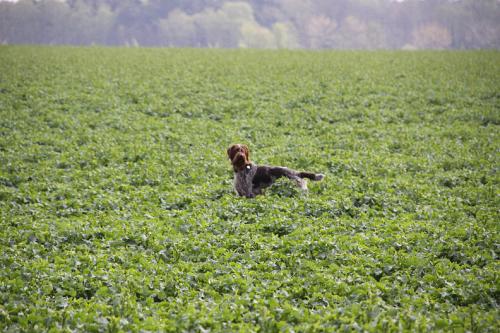 2011_04_16_238.JPG
