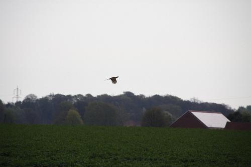 2011_04_16_251.JPG