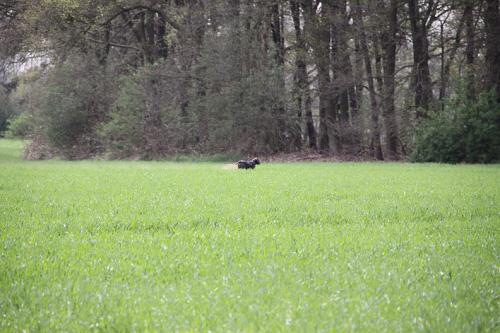 2011_04_16_271.JPG