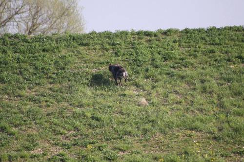 2010_04_24_050.JPG
