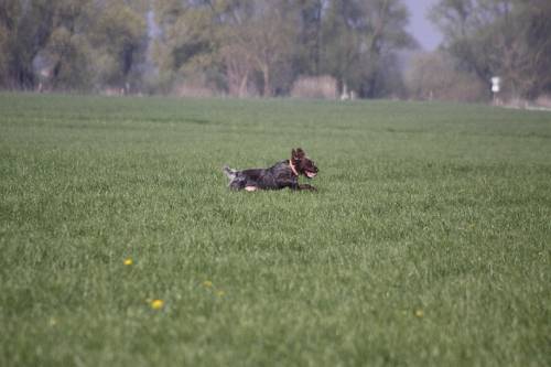 2010_04_24_053.JPG