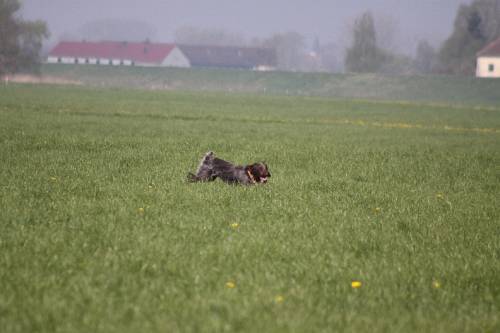 2010_04_24_055.JPG