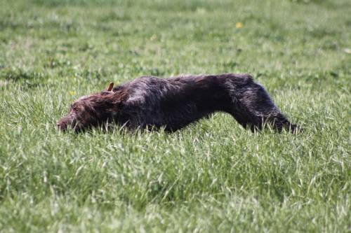 2010_04_24_075.JPG