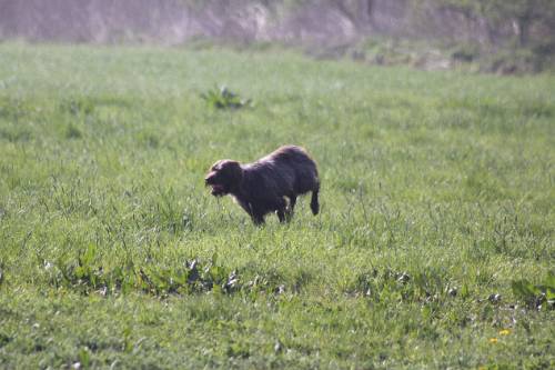 2010_04_24_091.JPG