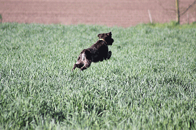 20090425-069.gif