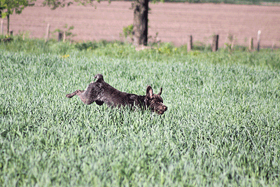 20090425-076.gif