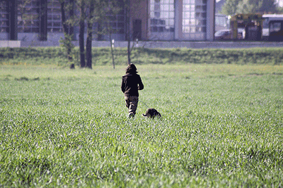 20090425-082.gif