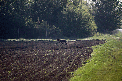 20090425-087.gif