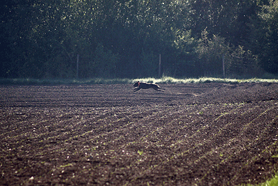 20090425-090.gif