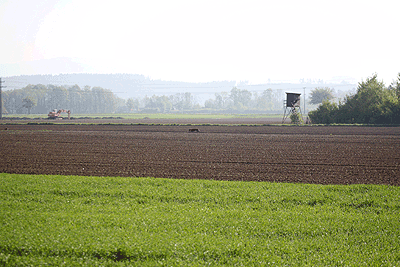 20090425-094.gif